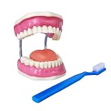 Garzón Dental: Análisis y comparativa de los mejores productos y accesorios para el cuidado de tus dientes