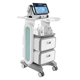 Carrito Médico con 2 cajones, Carrito de laboratorio, Carrito cosmético Dental Office Rolling Cart Carro de almacenamiento Cart utilitario profesional con ruedas