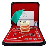 Modelo anatómico humano, herramienta de práctica for perforar diques de goma, kit de dique de goma for endodoncia dental, juego de herramientas de clip dental, con marcos de abrazaderas for placa de p