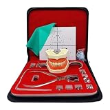 Herramienta de práctica for placa de perforación de dique de goma, kit de dique de goma for endodoncia dental, instrumentos dentales, placa de posicionamiento de modelo de 28 dientes