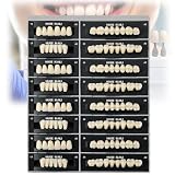 Dientes de resina acrílica dental para reemplazo, resina de polímero sintético para proyectos de bricolaje, ideal para Halloween y temas de terror