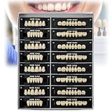 Dientes de resina acrílica dental para reemplazo de prótesis, Halloween, terror y proyectos de bricolaje